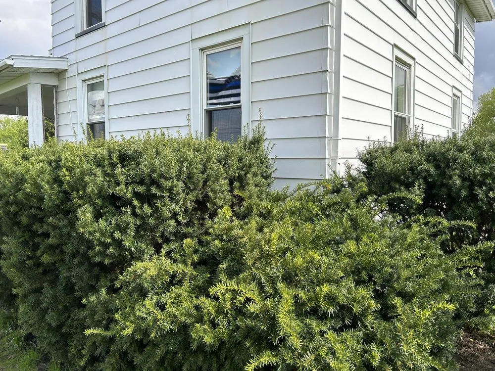 Local yard cleanup service in Penn Yan, NY by Breeds Handyman