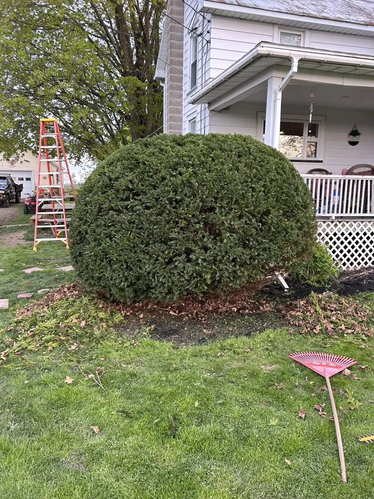 Professional lawn care service for beautiful yards in Penn Yan, NY by Breeds Handyman