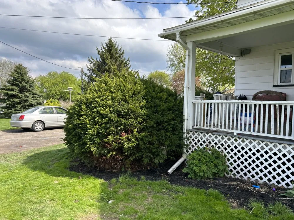 Reliable landscape installation in Penn Yan, NY - Breeds Handyman