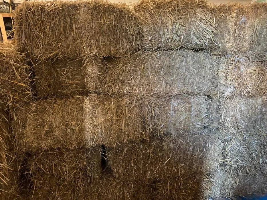 Affordable lawn care service experts serving Waterford, MI - Breen's Landscape & Supply Center