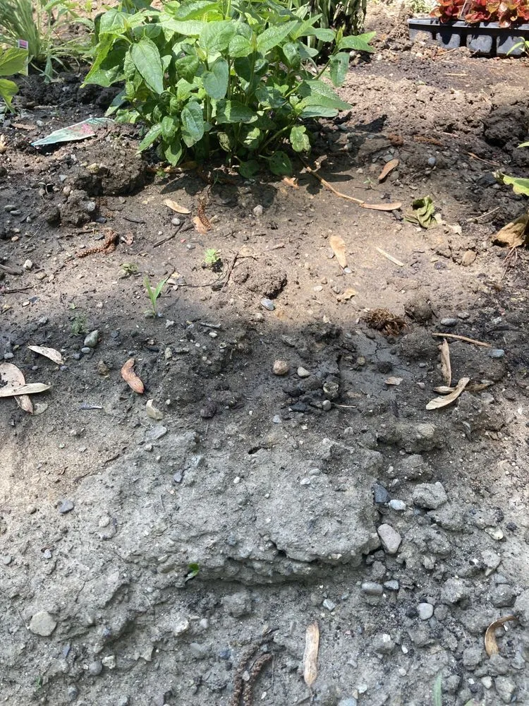 Expert yard maintenance in Waterford, MI - Breen's Landscape & Supply Center