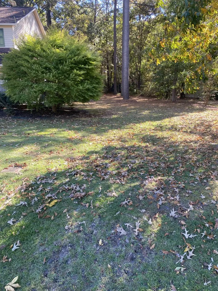 Professional lawn mowing service for beautiful yards across Jacksonville, NC - Breeze Lawncare Services