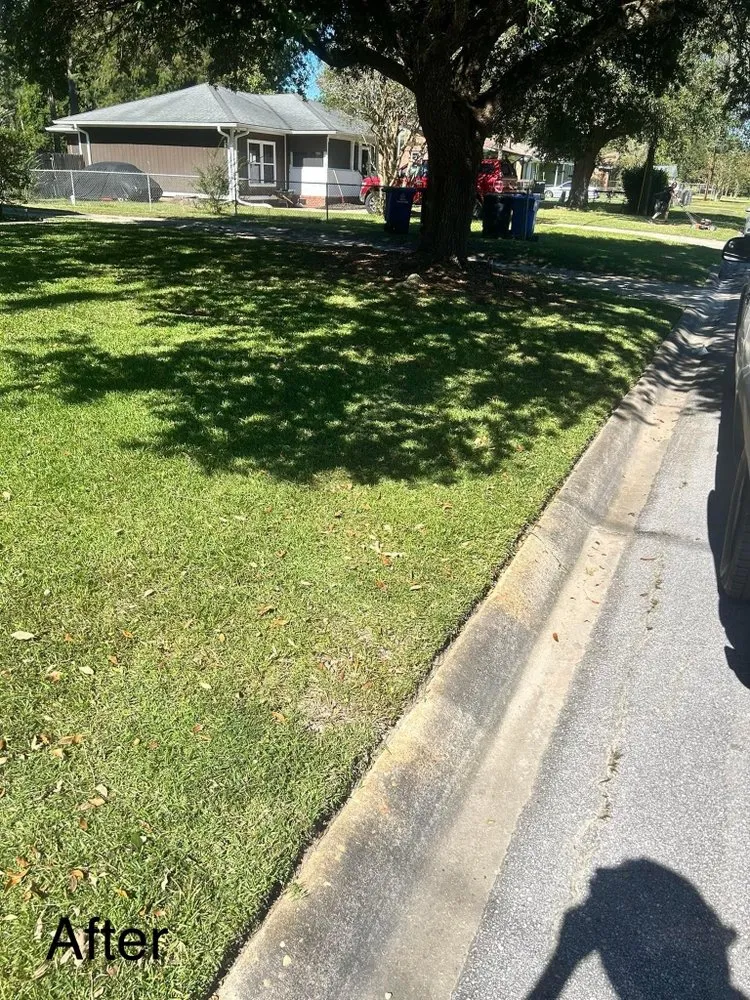 Top-rated lawn care service for homes across Jacksonville, NC - Breeze Lawncare Services