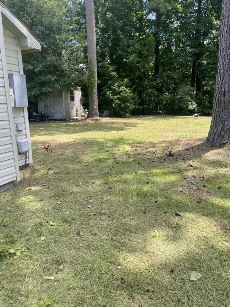 Affordable residential landscaping for beautiful yards in Jacksonville, NC by Breeze Lawncare Services