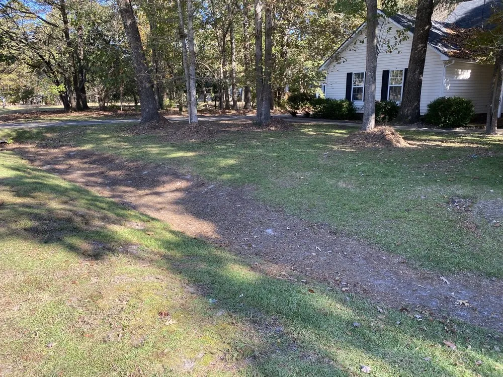 Expert residential landscaping in Jacksonville, NC by Breeze Lawncare Services