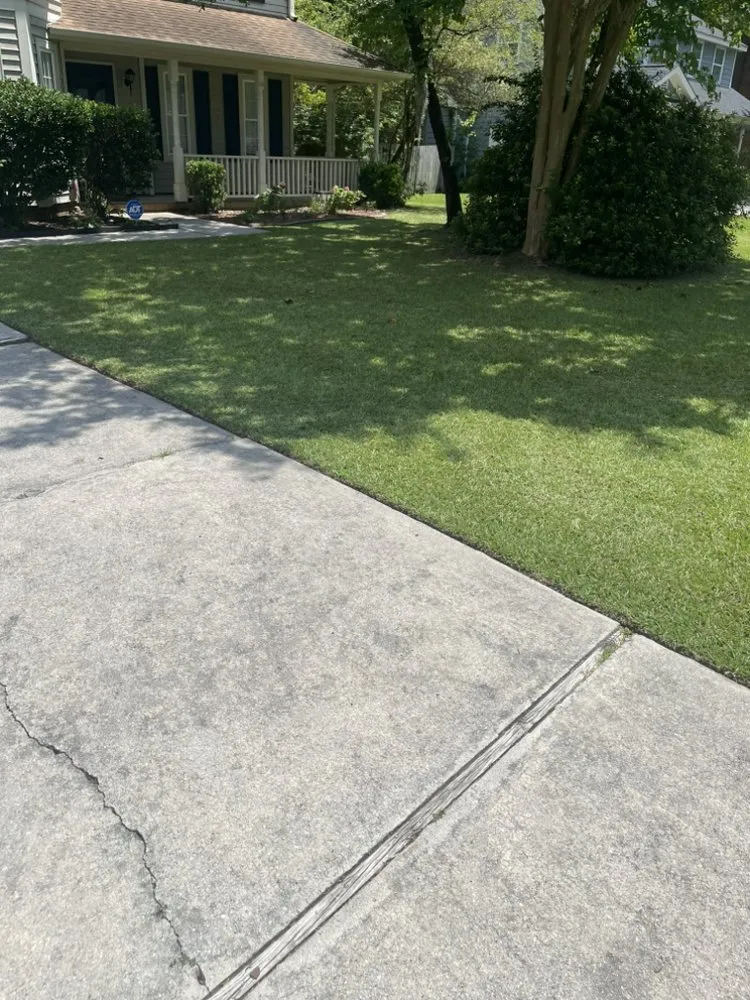 Affordable landscaping services for year-round maintenance in Jacksonville, NC by Breeze Lawncare Services