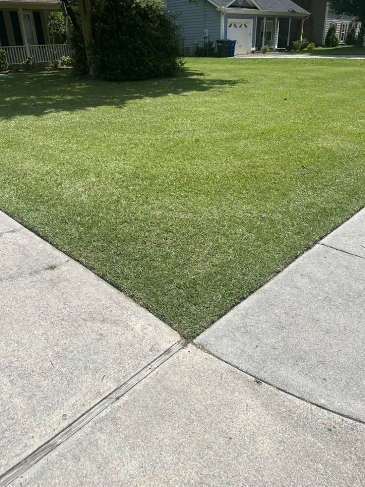 Professional residential landscaping for homes across Jacksonville, NC - Breeze Lawncare Services