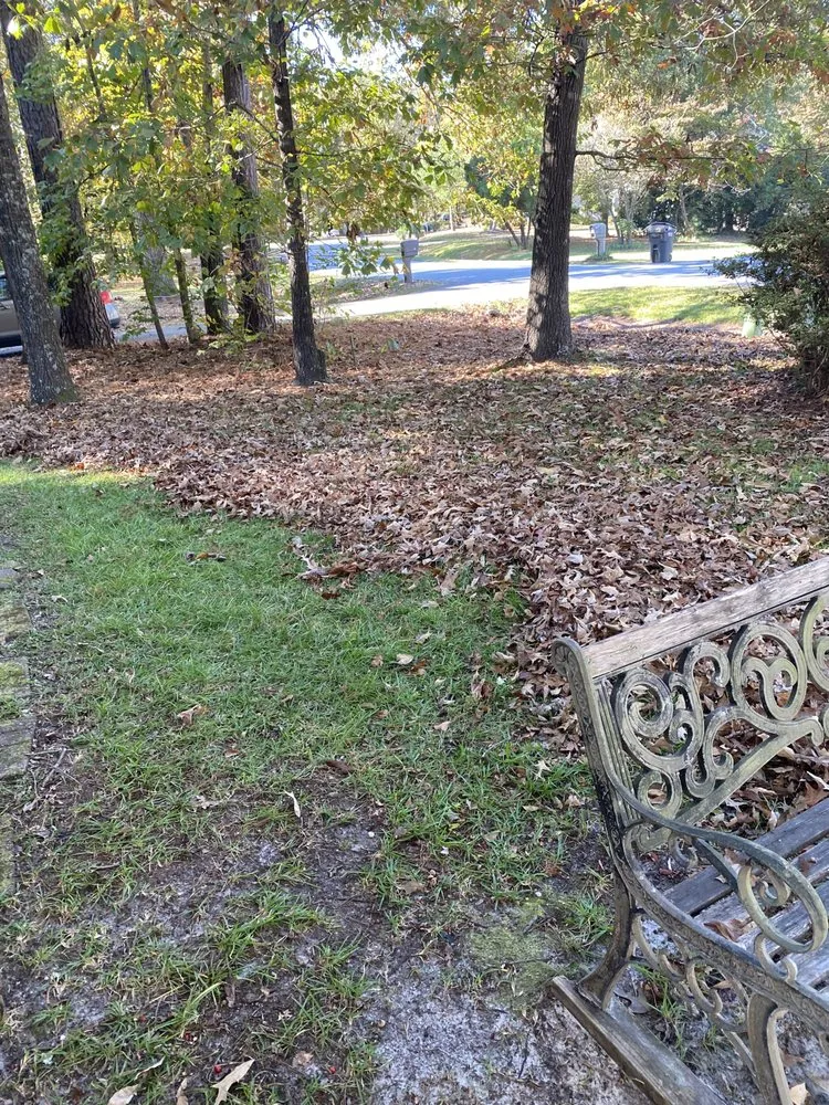 Professional residential landscaping in Jacksonville, NC by Breeze Lawncare Services