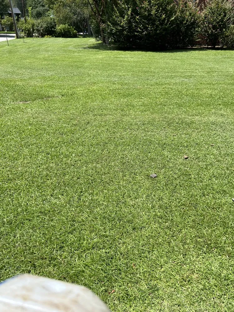 Trusted yard cleanup service in Jacksonville, NC by Breeze Lawncare Services