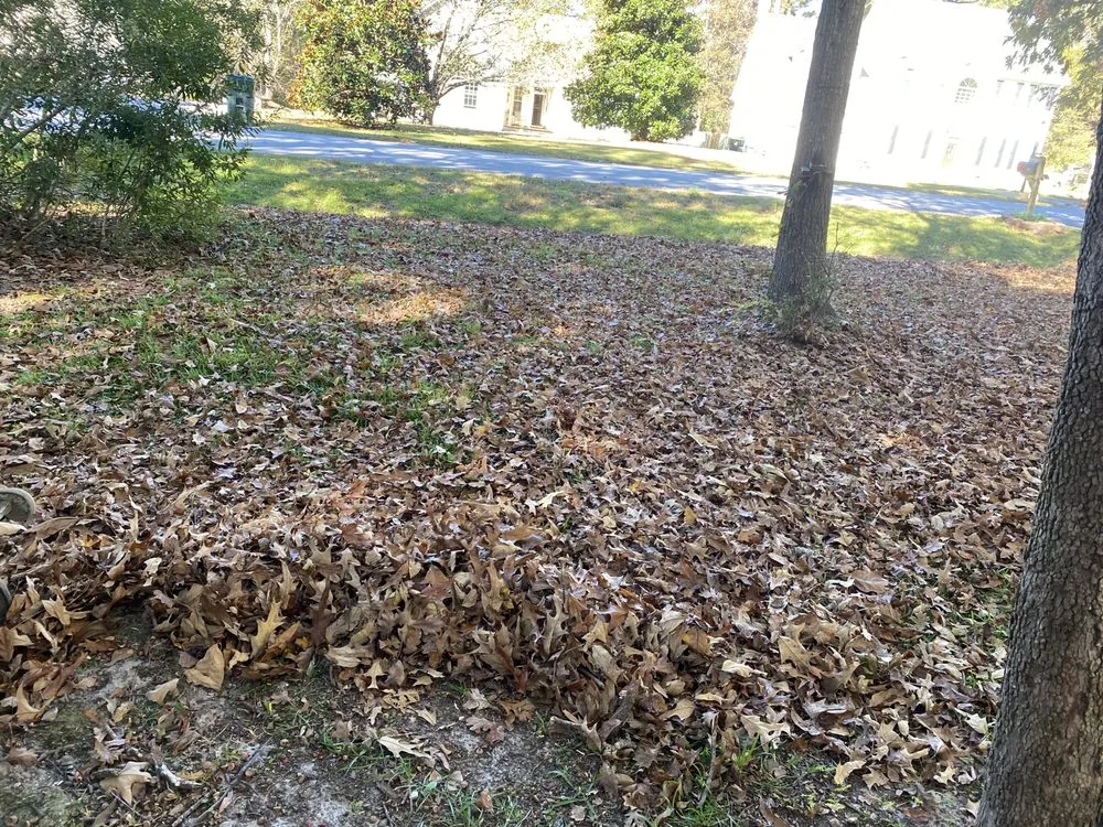 Custom landscaping services in Jacksonville, NC by Breeze Lawncare Services