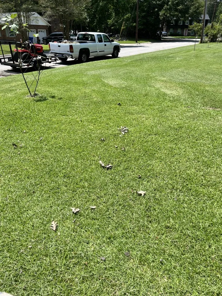 Top-rated outdoor landscaping in Jacksonville, NC by Breeze Lawncare Services