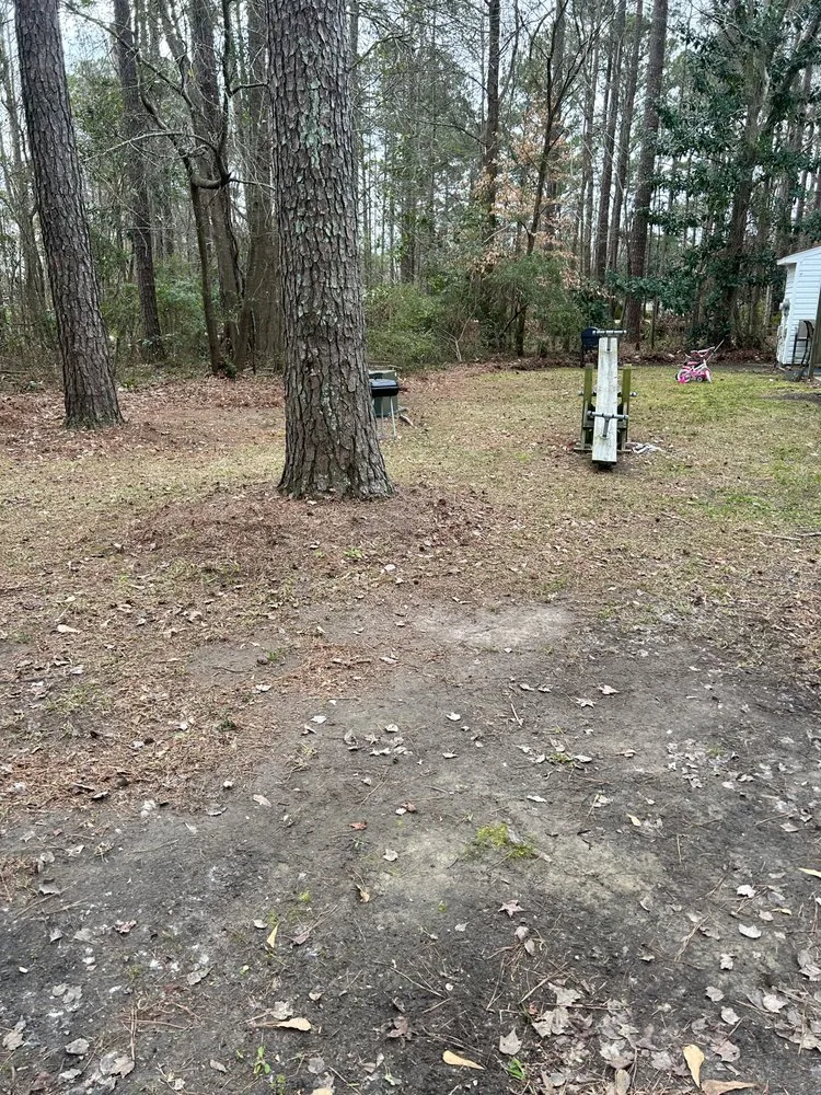 Trusted yard cleanup service experts serving Jacksonville, NC - Breeze Lawncare Services