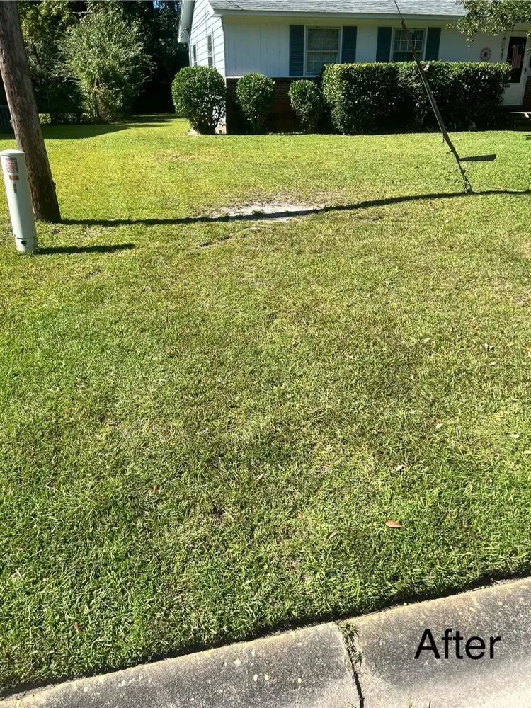 Expert garden landscaping for outdoor upgrades across Jacksonville, NC - Breeze Lawncare Services