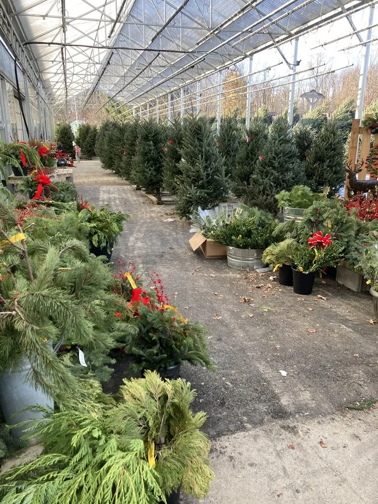 Local landscape installation in Chagrin Falls, OH - Breezewood Gardens & Gifts