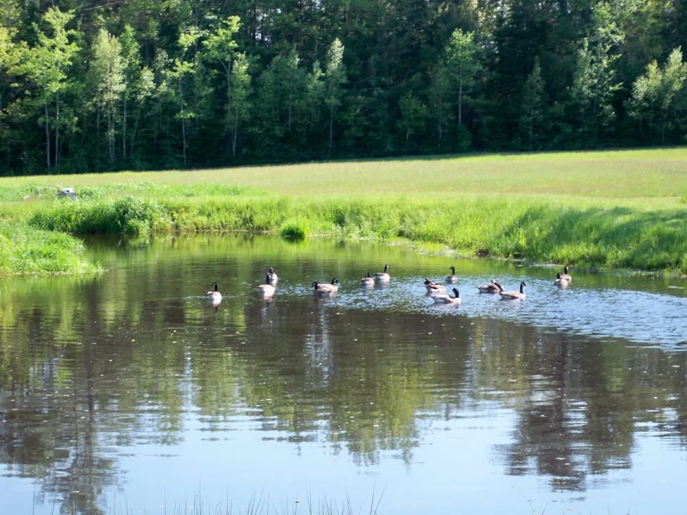 Expert outdoor landscaping near you in Sabattus, ME by Breezy Acres Yard Care
