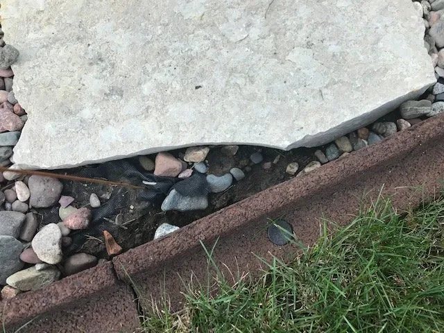 Professional outdoor landscaping in Salem, WI - Breezy Hill Nursery