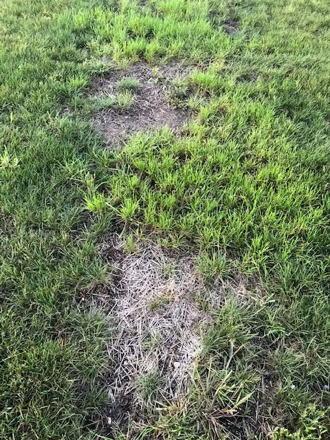 Custom lawn care service experts serving Salem, WI - Breezy Hill Nursery