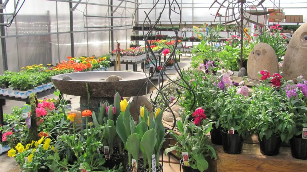 Custom landscape installation in Salem, WI by Breezy Hill Nursery