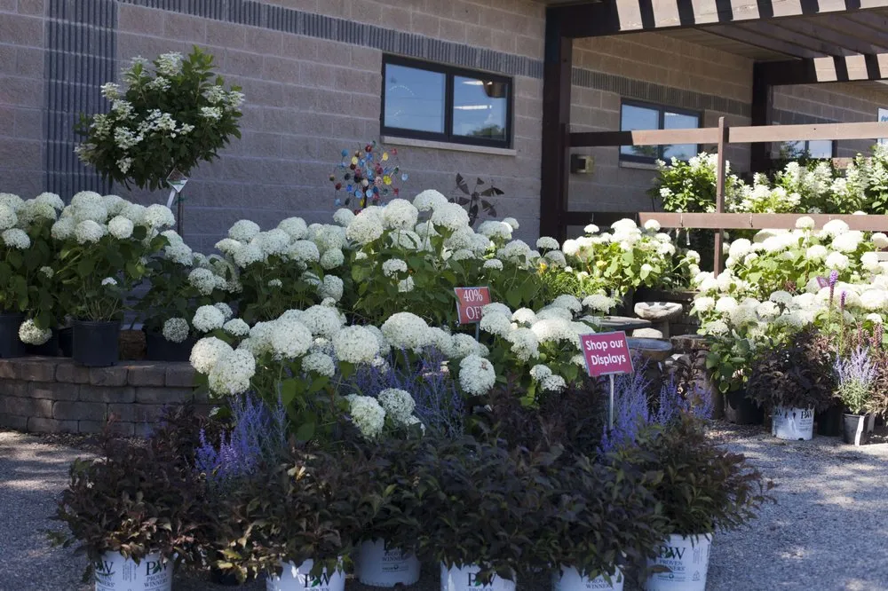 Trusted landscaping services in Salem, WI by Breezy Hill Nursery