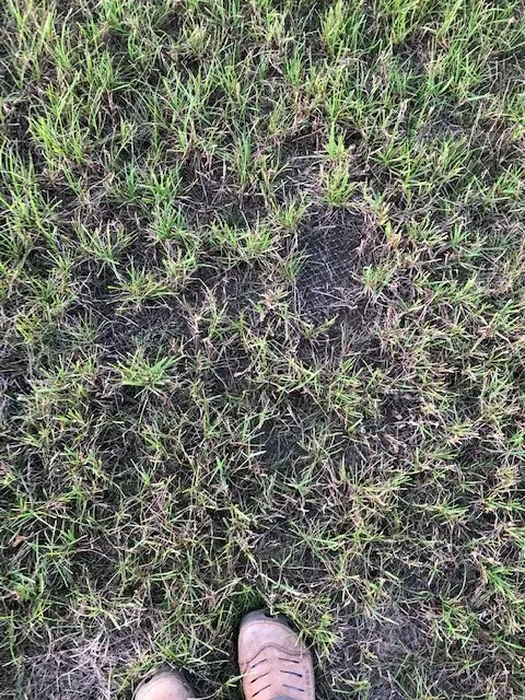 Top-rated outdoor landscaping with custom design across Salem, WI - Breezy Hill Nursery