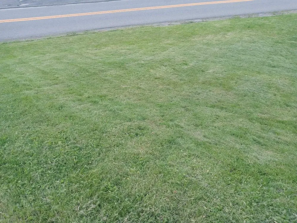 Trusted outdoor landscaping for outdoor upgrades across Uniontown, PA - Bregan's Lawn Care