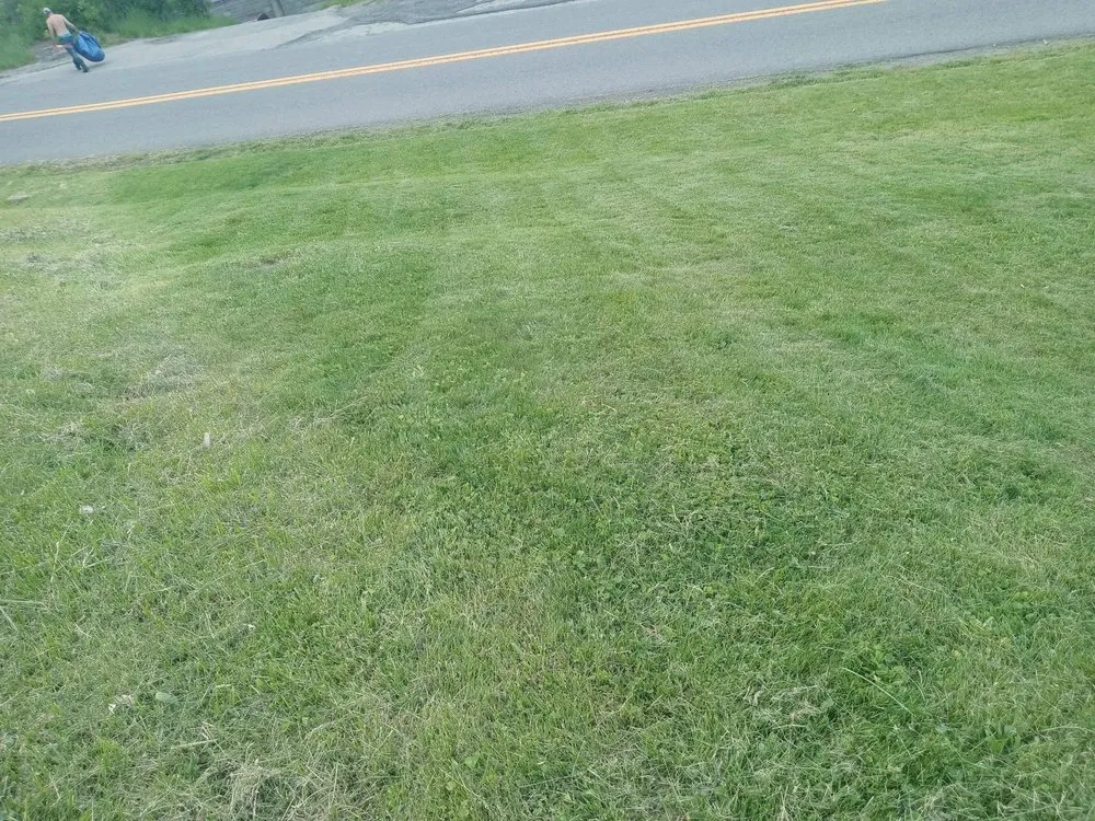 Reliable lawn care service with custom design across Uniontown, PA - Bregan's Lawn Care