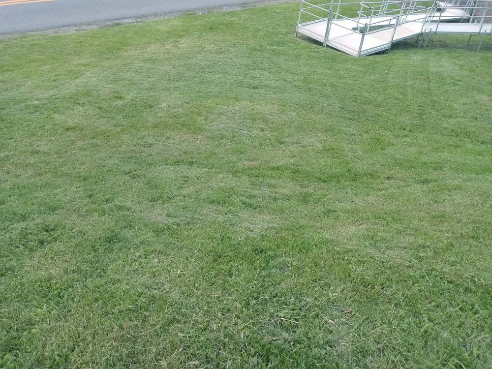 Affordable lawn care service in Uniontown, PA by Bregan's Lawn Care