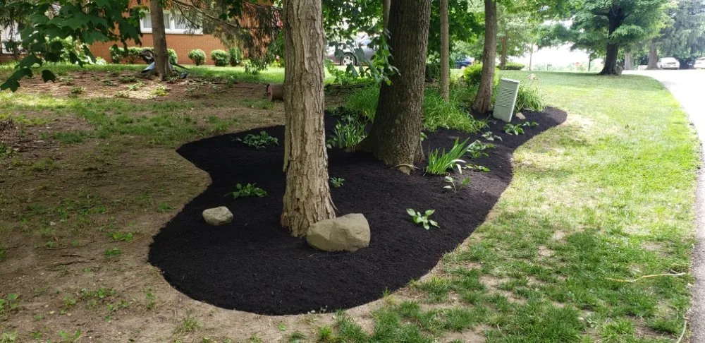 Local landscaping services for beautiful yards across Circleville, OH - Breiner's Lawn and Landscape