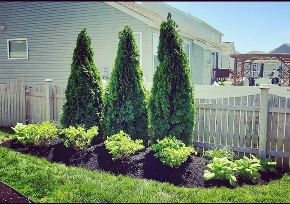 Expert lawn care service with custom design in Circleville, OH by Breiner's Lawn and Landscape