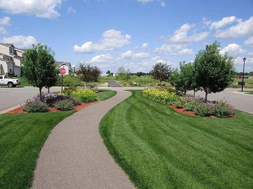 Local landscape design experts serving Albertville, MN - Breiwick Companies