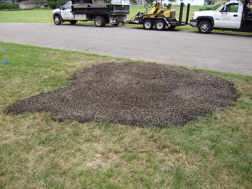 Top-rated landscaping services for residential properties in Albertville, MN by Breiwick Companies