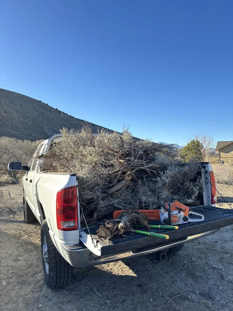 Reliable garden landscaping experts serving Carson City, NV - Brem Landscape