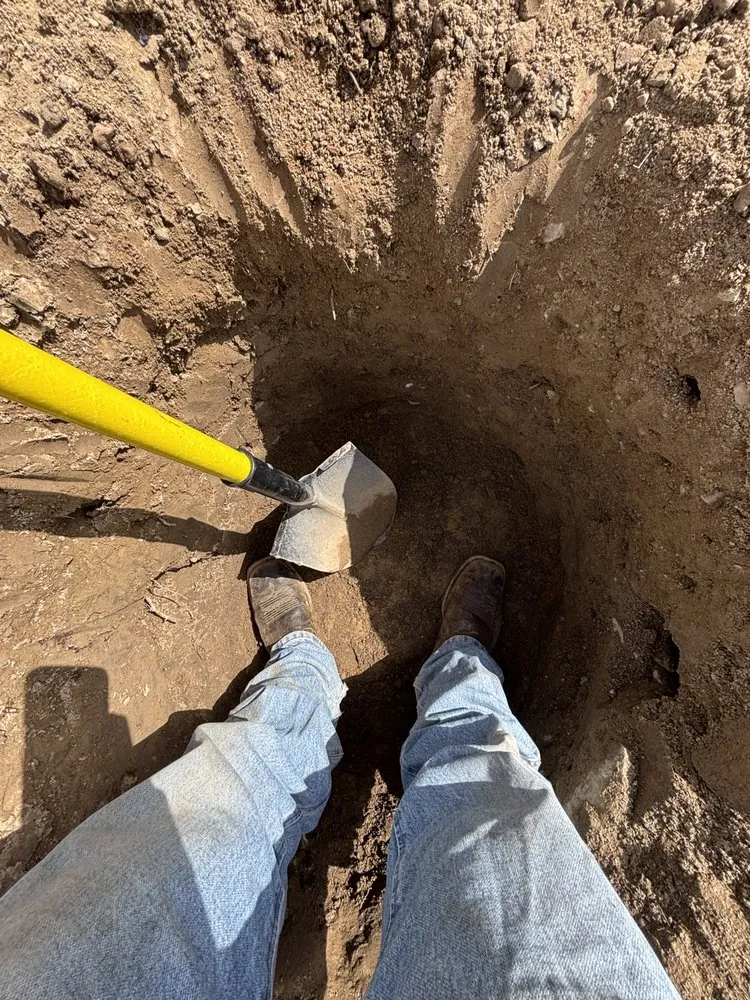 Professional yard maintenance experts serving Carson City, NV - Brem Landscape