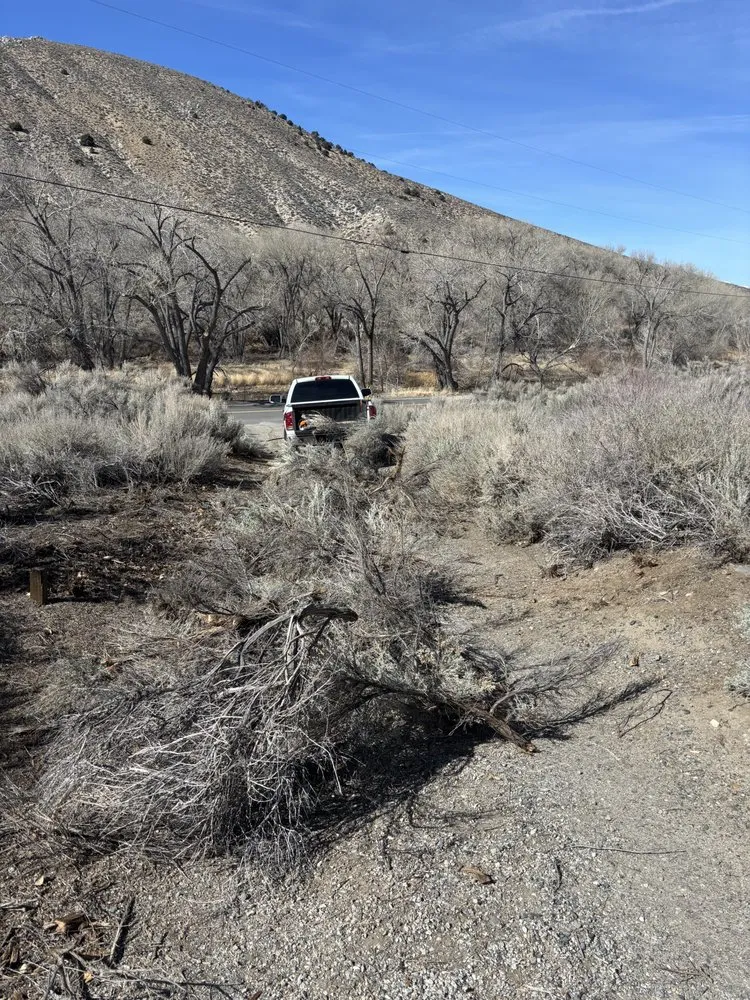 Expert landscaping services for year-round maintenance in Carson City, NV by Brem Landscape