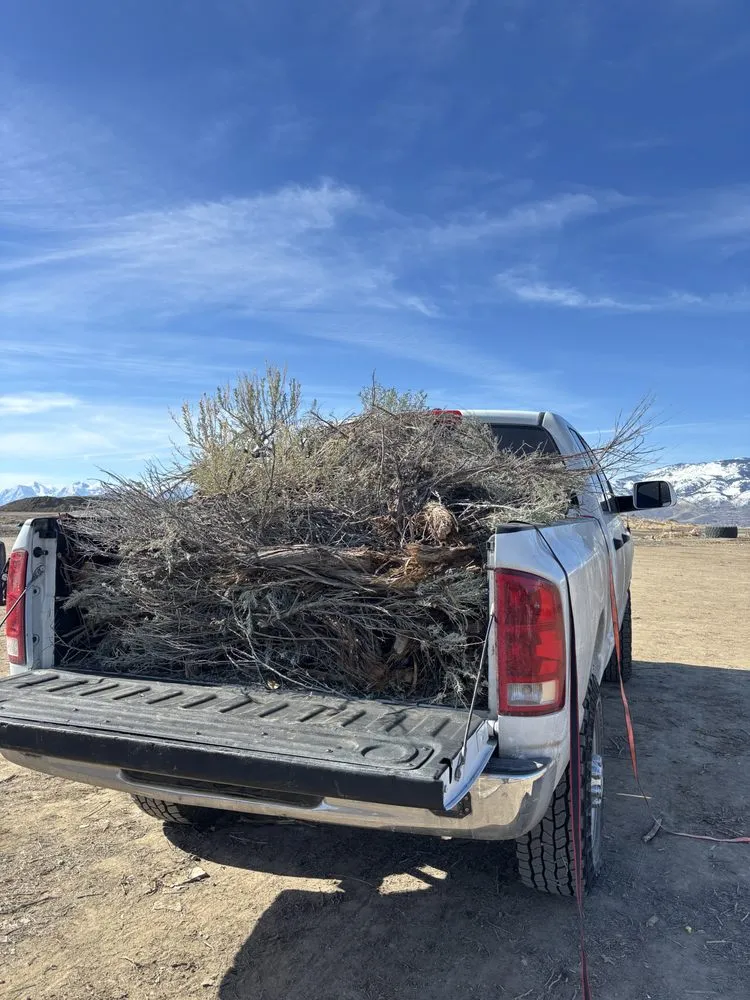 Local landscaping services for residential properties in Carson City, NV by Brem Landscape