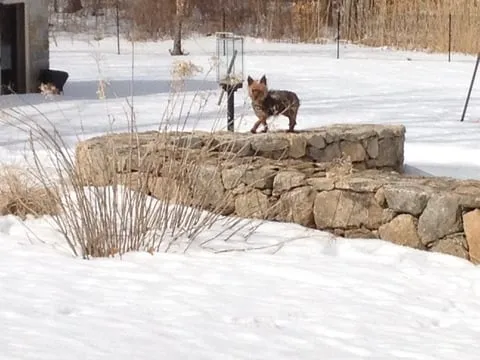 Bren Landscaping & Masonry Logo