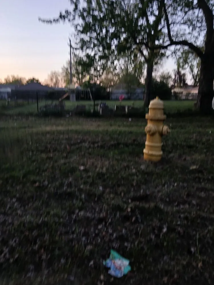 Custom landscaping services for beautiful yards across Westland, MI - Brendans Lawn And Trimming