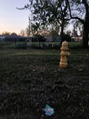 Brendans Lawn And Trimming Logo