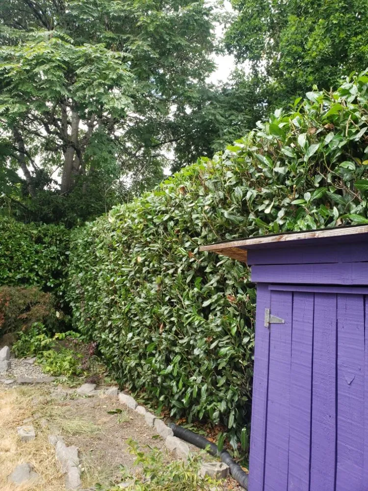 Affordable landscape design experts serving Portland, OR - Brendan's Yard Service