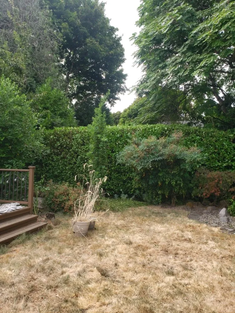 Top-rated landscape installation experts serving Portland, OR - Brendan's Yard Service