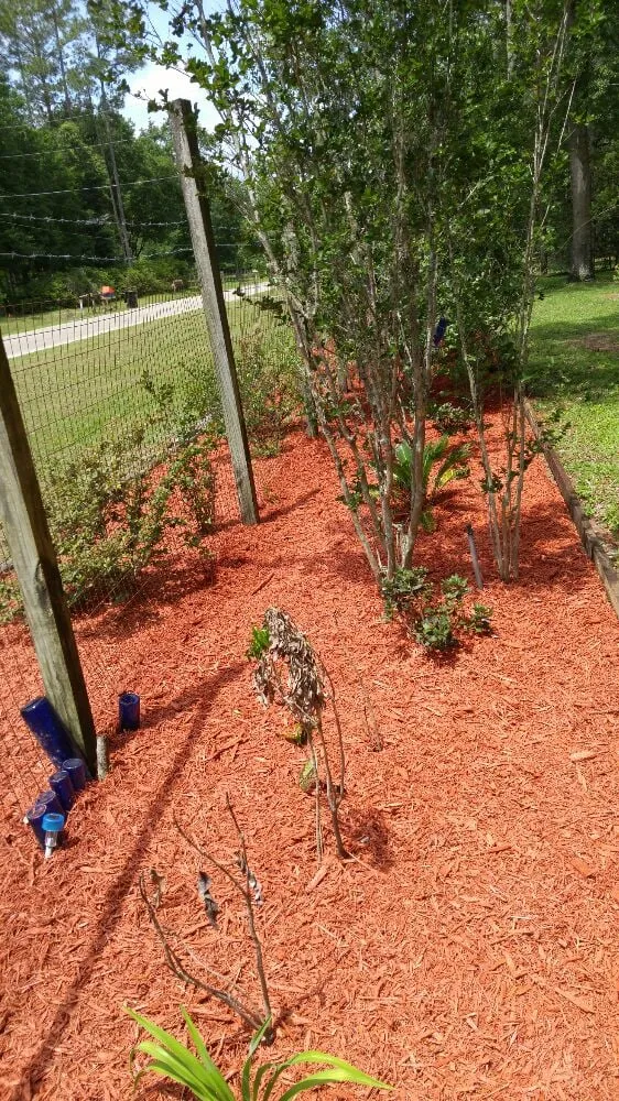 Local outdoor landscaping experts serving Gainesville, FL - Brenda's Good Neighbor Service