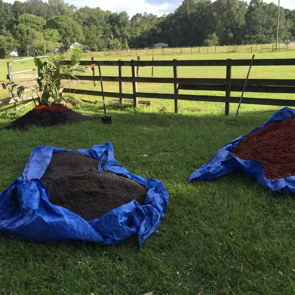 Local garden landscaping in Gainesville, FL by Brenda's Good Neighbor Service