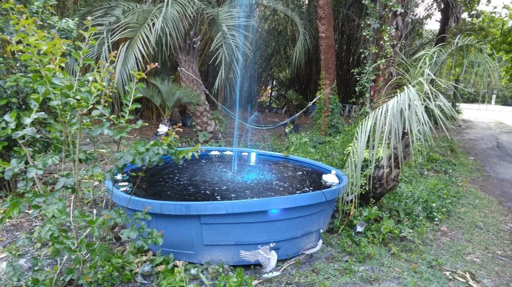 Top-rated landscape installation experts serving Gainesville, FL - Brenda's Good Neighbor Service