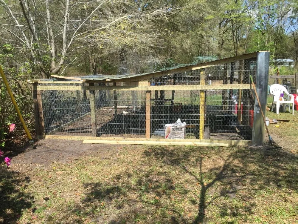 Custom yard cleanup service experts serving Gainesville, FL - Brenda's Good Neighbor Service