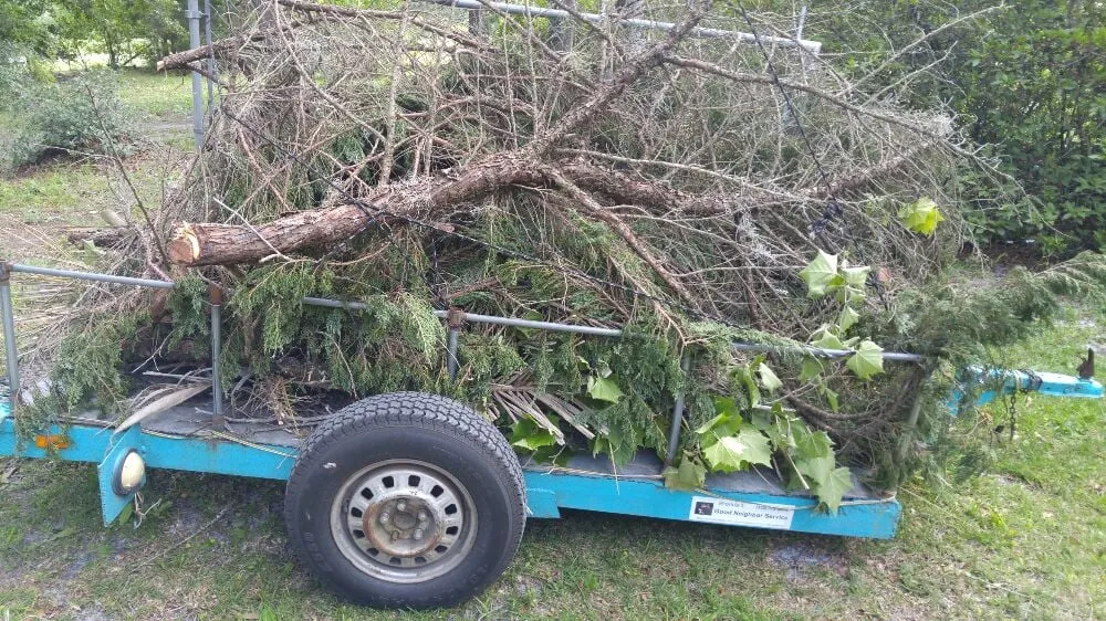 Trusted yard maintenance in Gainesville, FL by Brenda's Good Neighbor Service