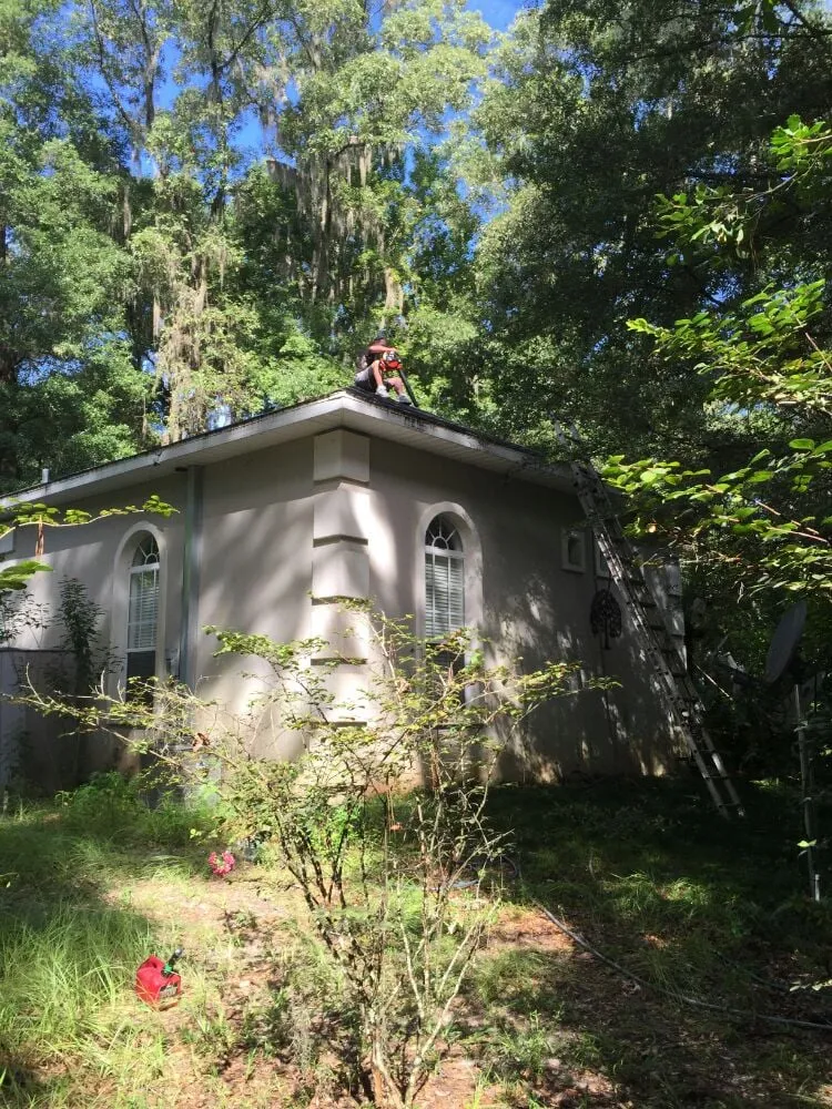 Reliable yard maintenance for year-round maintenance in Gainesville, FL by Brenda's Good Neighbor Service