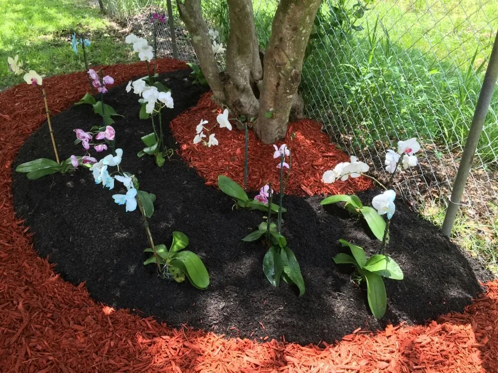 Expert landscape design experts serving Gainesville, FL - Brenda's Good Neighbor Service