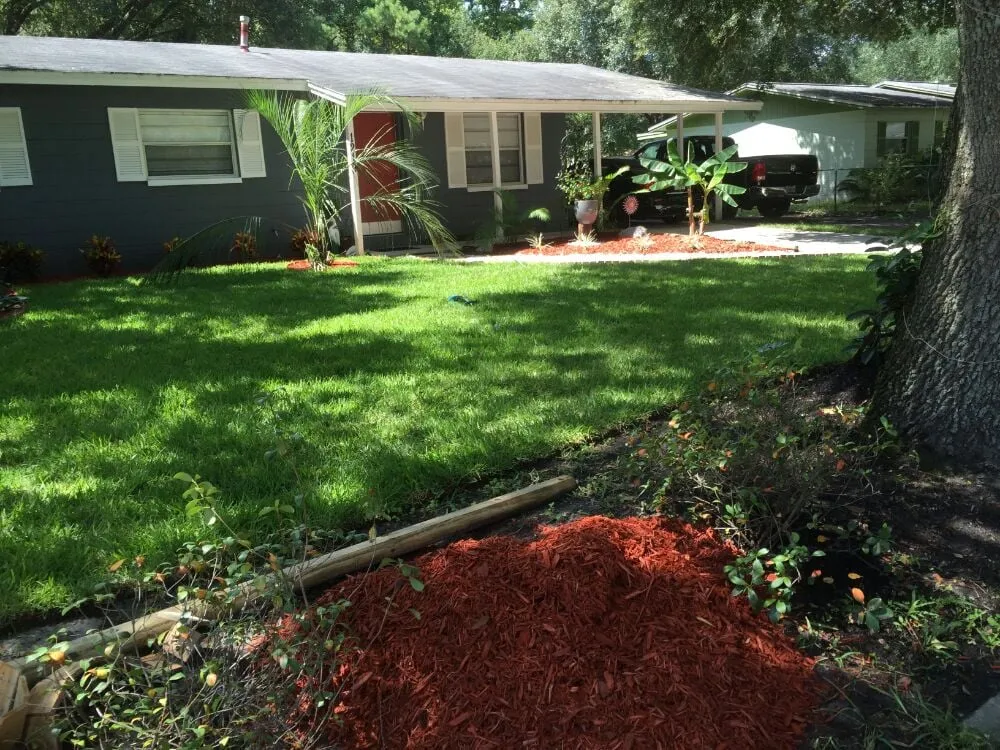 Expert landscaping services experts serving Gainesville, FL - Brenda's Good Neighbor Service