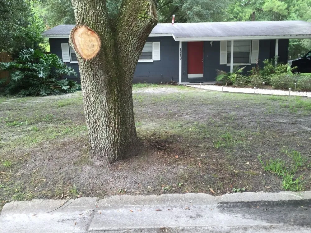 Top-rated yard maintenance with custom design in Gainesville, FL by Brenda's Good Neighbor Service