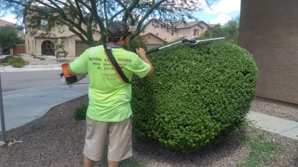 Top-rated residential landscaping with custom design across Tucson, AZ - Brenda's Little Helpers